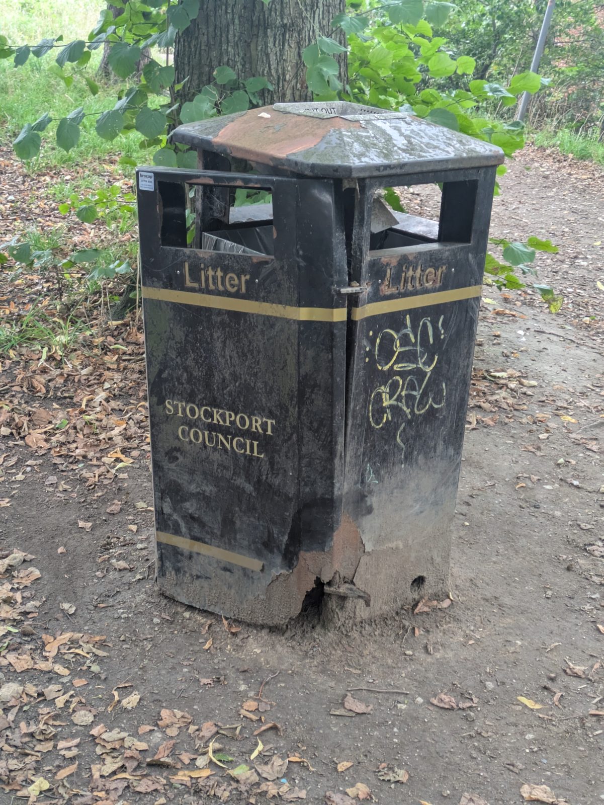 In the woods - Bideford Road / Woodlands Park